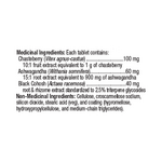 Chasteberry Plus: Targeted Herbal Relief for PMS Comfort